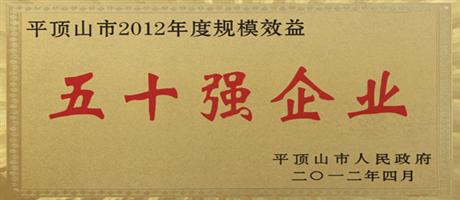 平頂山市2012年度規(guī)模效益50強(qiáng)企業(yè)