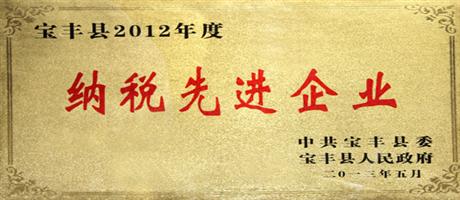 寶豐縣2012年度納稅先進(jìn)企業(yè)